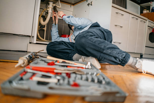 Best Affordable Plumbing Services  in Kalamazoo, MI
